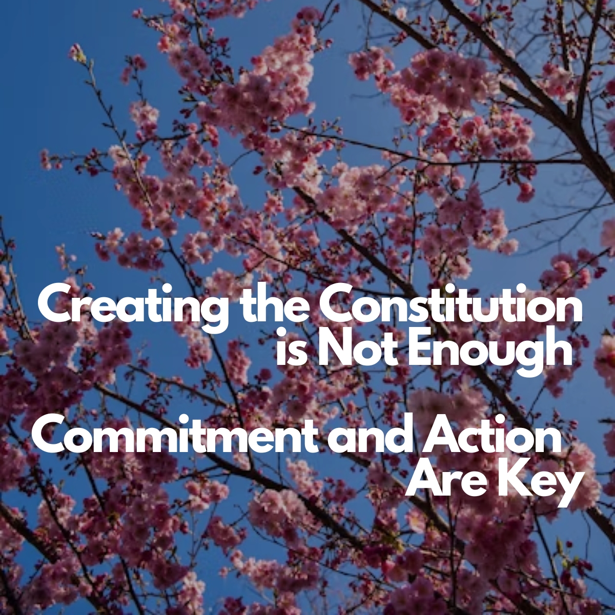 Creating The Constitution Is Not Enough. Commitment And Action Are Key