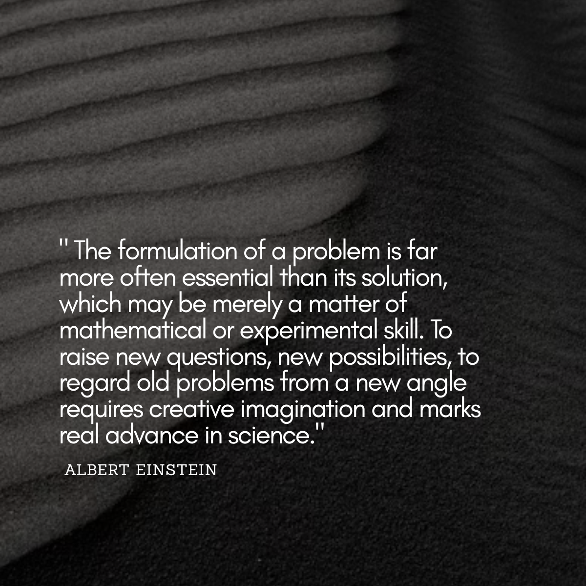Einstein In Business