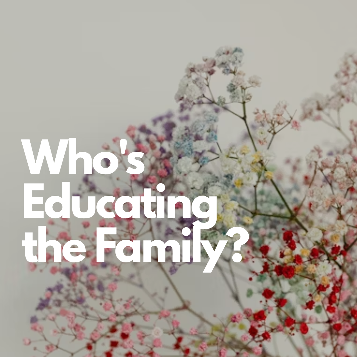 Who’s Educating The Family?