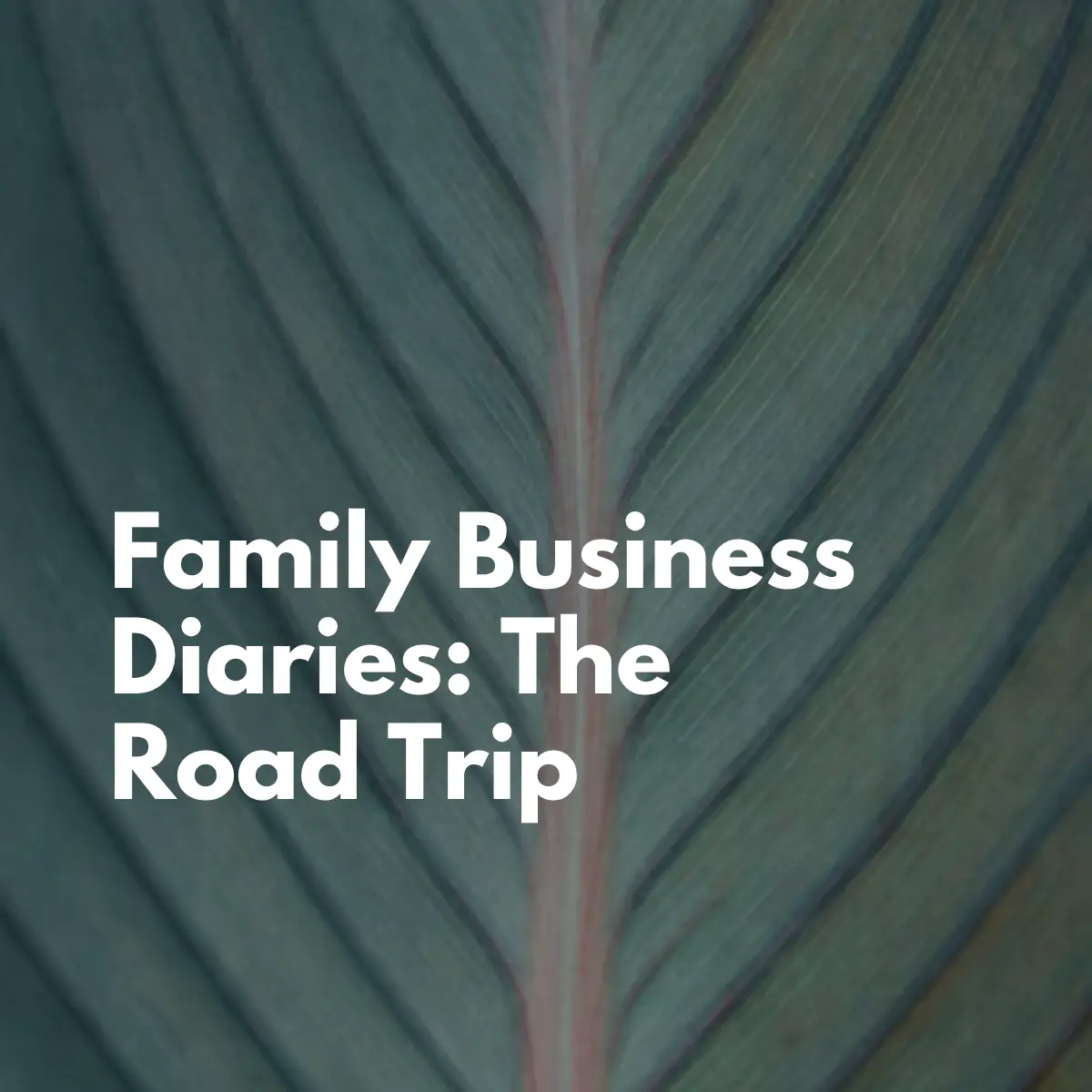 Family Business Diaries: The Road Trip